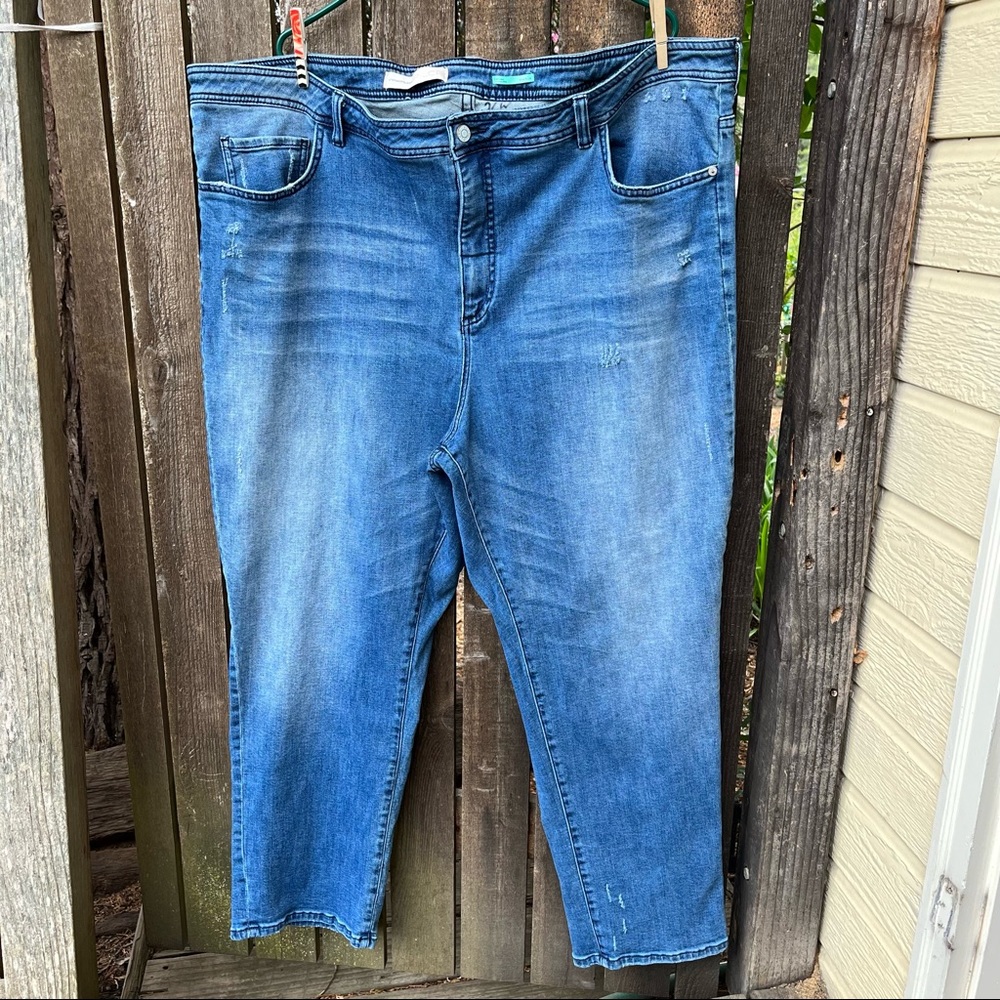 Anthropologie Pilcro Slim Boyfriend High Rise Jeans Light Distressing Sz 26W